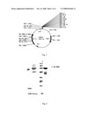 Anti-Sars Virus Antibody, Hybridoma Producing the Antibody and Immunoassay Reagent Using the Antibody diagram and image