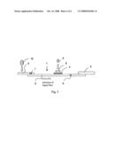 Anti-Sars Virus Antibody, Hybridoma Producing the Antibody and Immunoassay Reagent Using the Antibody diagram and image