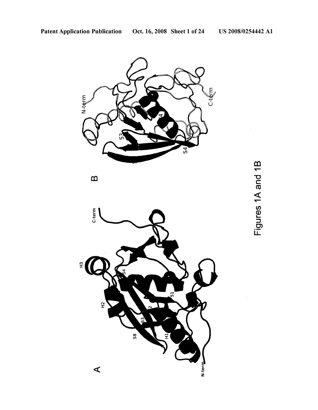 Crystal structures of human peptide deformylase - diagram, schematic, and image 02