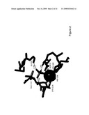Crystal structures of human peptide deformylase diagram and image