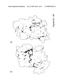 Crystal structures of human peptide deformylase diagram and image