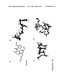 Crystal structures of human peptide deformylase diagram and image