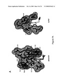 Crystal structures of human peptide deformylase diagram and image
