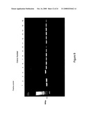 Crystal structures of human peptide deformylase diagram and image