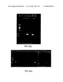 Method of pre-treating in pleural effusion for detection of Mycobacterium tuberculosis diagram and image