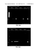 Method of pre-treating in pleural effusion for detection of Mycobacterium tuberculosis diagram and image