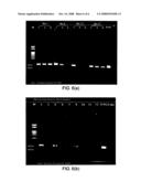 Method of pre-treating in pleural effusion for detection of Mycobacterium tuberculosis diagram and image