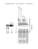 ALTERED ZDHHC8 EXPRESSION AS A MARKER OF INCREASED RISK OF SCHIZOPHRENIA diagram and image