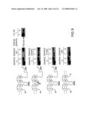 ALTERED ZDHHC8 EXPRESSION AS A MARKER OF INCREASED RISK OF SCHIZOPHRENIA diagram and image