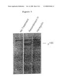 Heregulin-like Factor diagram and image