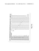  IL-1 GENE CLUSTER AND ASSOCIATED INFLAMMATORY POLYMORPHISMS AND HAPLOTYPES diagram and image