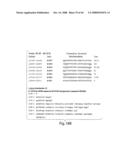  IL-1 GENE CLUSTER AND ASSOCIATED INFLAMMATORY POLYMORPHISMS AND HAPLOTYPES diagram and image