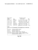  IL-1 GENE CLUSTER AND ASSOCIATED INFLAMMATORY POLYMORPHISMS AND HAPLOTYPES diagram and image