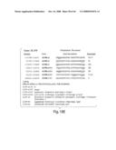  IL-1 GENE CLUSTER AND ASSOCIATED INFLAMMATORY POLYMORPHISMS AND HAPLOTYPES diagram and image