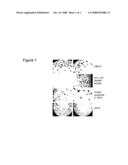 MICROCYTOXICITY ASSAY BY PRE-LABELING TARGET CELLS diagram and image