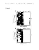 Baculovirus Expression System diagram and image