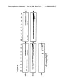 Baculovirus Expression System diagram and image