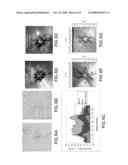 APPARATUS FOR THE NON-INVASIVE MEASUREMENT OF TISSUE FUNCTION AND METABOLISM BY DETERMINATION OF STEADY-STATE FLUORESCENCE ANISOTROPY diagram and image