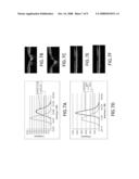 APPARATUS FOR THE NON-INVASIVE MEASUREMENT OF TISSUE FUNCTION AND METABOLISM BY DETERMINATION OF STEADY-STATE FLUORESCENCE ANISOTROPY diagram and image