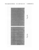 Method for fabricating thin film transistors diagram and image