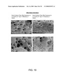 Methods of forming activated carbons diagram and image