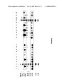 GLYCOSYLATION OF PEPTIDES VIA O-LINKED GLYCOSYLATION SEQUENCES diagram and image