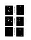 Immunologic regulation by theta defensins diagram and image