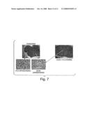 Regulators of the hedgehog pathway, compositions and uses related thereto diagram and image