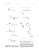 SUBSTITUTED 2,5-HETEROCYCLIC DERIVATIVES diagram and image