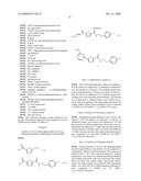 SUBSTITUTED 2,5-HETEROCYCLIC DERIVATIVES diagram and image