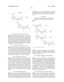 SUBSTITUTED 2,5-HETEROCYCLIC DERIVATIVES diagram and image