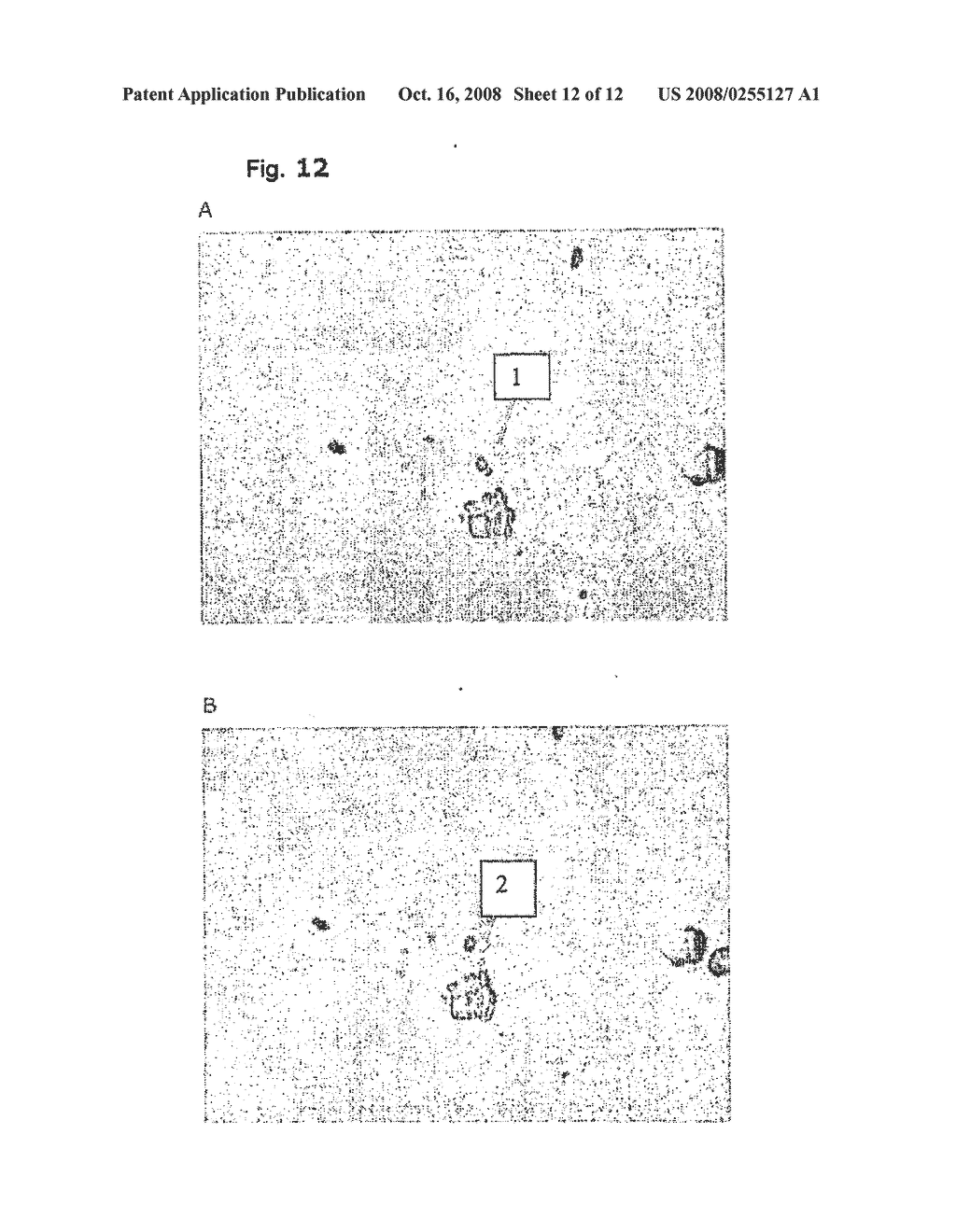 Pesticide Formulations with a Crystallization Risk, and a Method for Their Preparation - diagram, schematic, and image 13