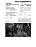 Use of Modified Pyrimidine Compounds to Promote Stem Cell Migration and Proliferation diagram and image