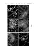 Use of Modified Pyrimidine Compounds to Promote Stem Cell Migration and Proliferation diagram and image