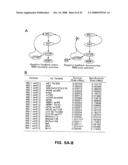 Stat3 as a theranostic indicator diagram and image