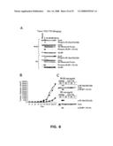 Stat3 as a theranostic indicator diagram and image