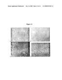 Biological Molecule-Reactive Hydrophilic Silicone Surface diagram and image