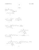 IRNA Agents Targeting CCR5 Expressing Cells And Uses Thereof diagram and image