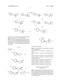 Process for the preparation and isolation of the individual stereoisomers of 1-amino, 3-substituted phenylcyclopentane-carboxylates diagram and image