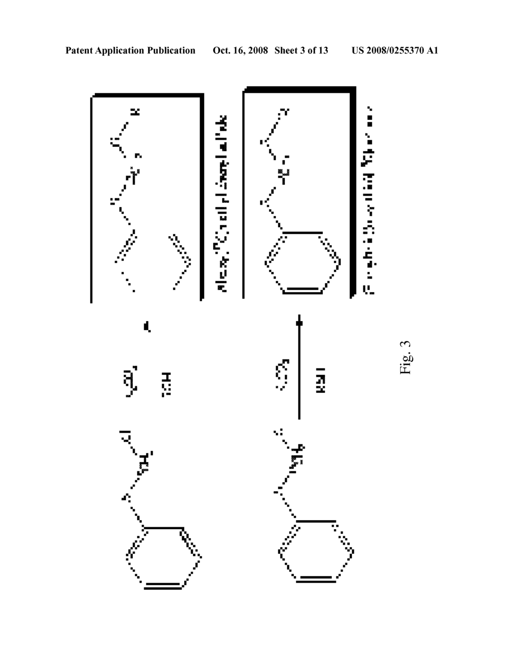 SINGLE CARBON PRECURSOR SYNTHONS - diagram, schematic, and image 04