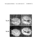 Method For Evaluating Relative Oxygen Saturation in Body Tissues diagram and image