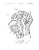 Modulation of the Pain Circuitry to Affect Chronic Pain diagram and image