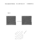 GEO-REFERENCED AGRICULTURAL LEVEES diagram and image