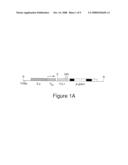 Human chronic lymphocytic leukemia modeled in mouse by targeted TCL1 expression diagram and image