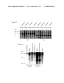 Human chronic lymphocytic leukemia modeled in mouse by targeted TCL1 expression diagram and image