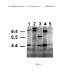 Human chronic lymphocytic leukemia modeled in mouse by targeted TCL1 expression diagram and image