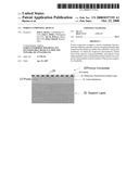 Porous Composite Article diagram and image