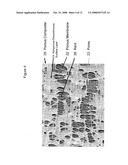 Porous Composite Article diagram and image