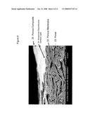 Porous Composite Article diagram and image