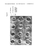 Porous Composite Article diagram and image